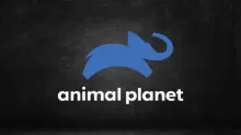 Assistir Animal Planet ao vivo em HD Online Assistir Animal Planet ao vivo em HD Online